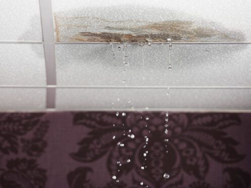 A leaking ceiling from a roof leak in Plano, TX