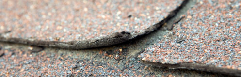 Damaged or weathered shingle on a roof in Plano, TX