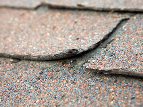 Damaged or weathered shingle on a roof in Plano, TX